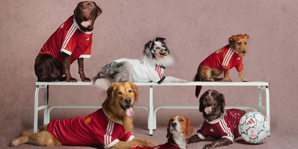 adidas Originals wprowadza kolekcję odzieży dla zwierząt inspirowaną piłką nożną
