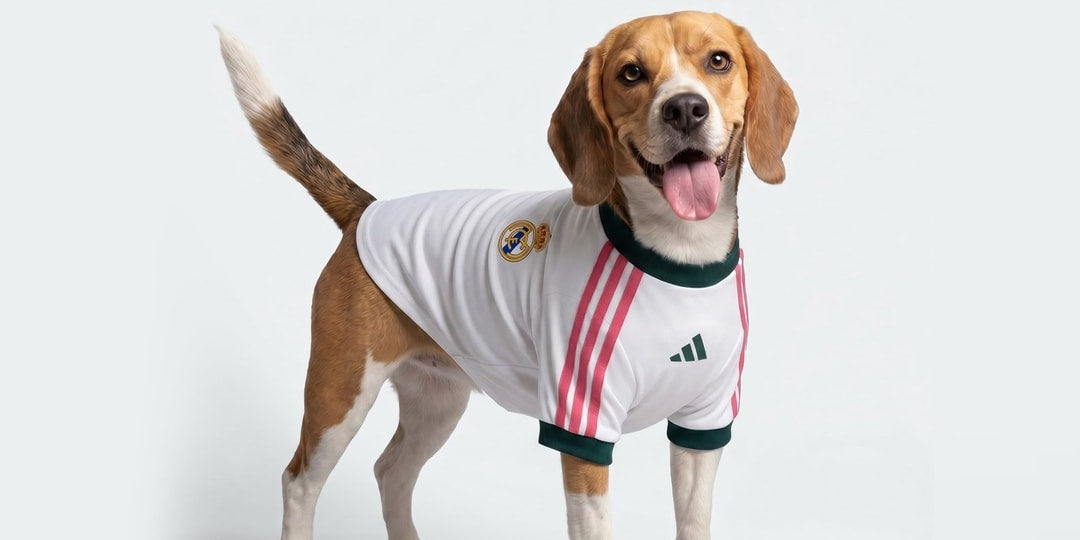 adidas Originals wprowadza kolekcję koszulek piłkarskich dla psów inspirowaną UEFA Champions League