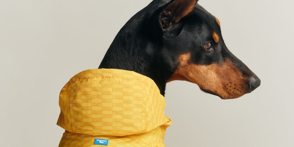 Kith i wagwear: Nowa Kolekcja dla Psów z Nowojorską Nutą