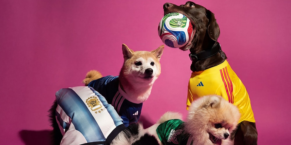 Adidas Wprowadza Kolekcję dla Zwierząt na Mistrzostwa Świata 2026 – Twój Pupilek w Stylu!