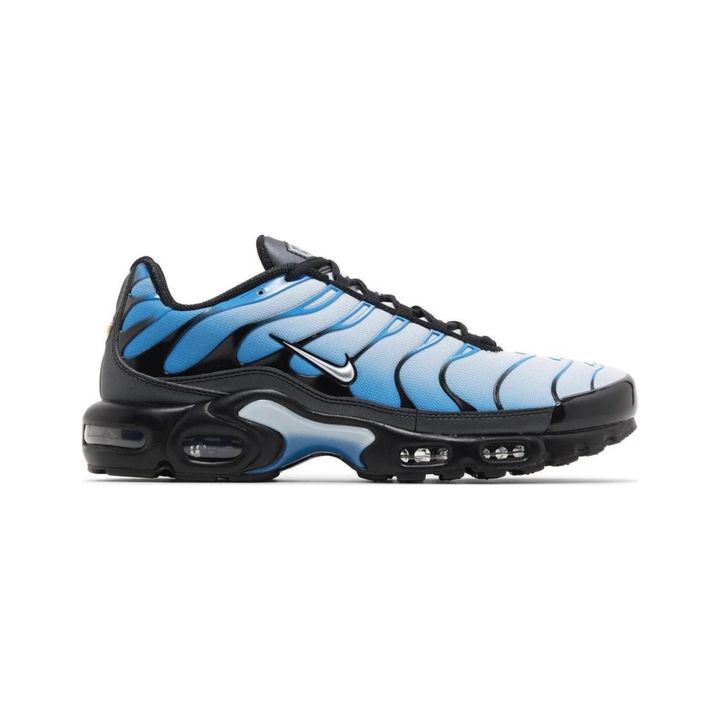 Nike Air Max Plus Blue Gradient