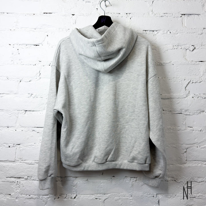 FVCKTHISBRAND Fight The Beast Hoodie Grey back view