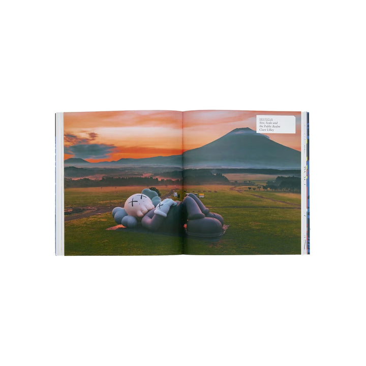 KAWS Phaidon Uniqlo Book akcesoria N-Hype Łódź Polska zdjęcie 2