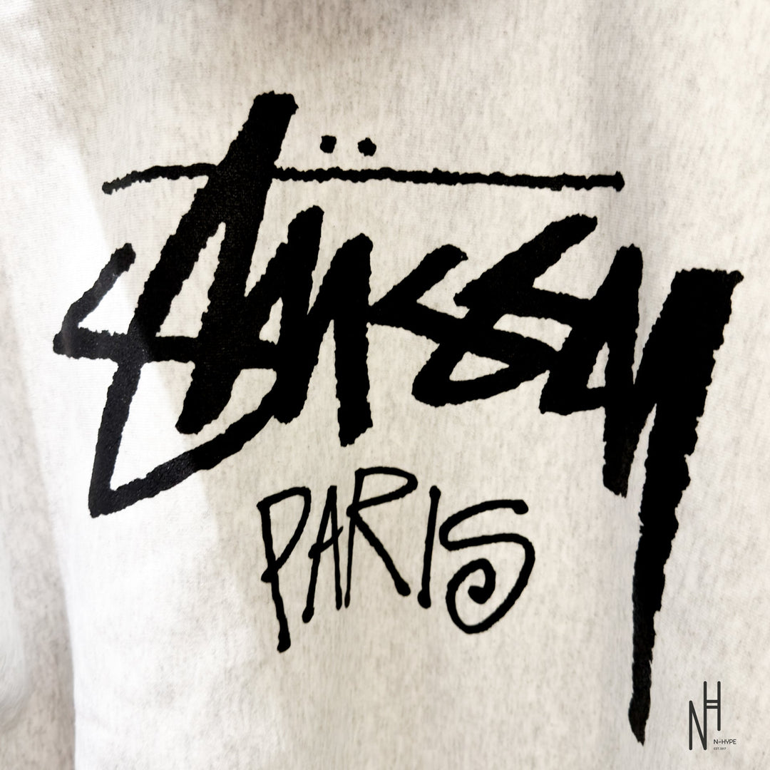 Stussy Paris Zip Hoodie Ash Heather hoodie męski N-Hype