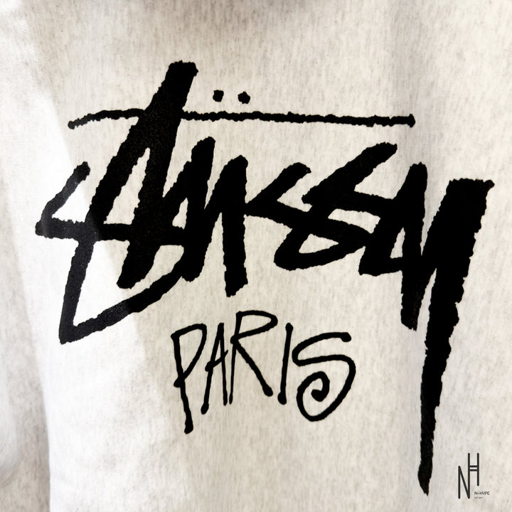 Stussy Paris Zip Hoodie Ash Heather hoodie męski N-Hype